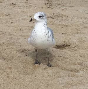 Meet your Posher, Debra